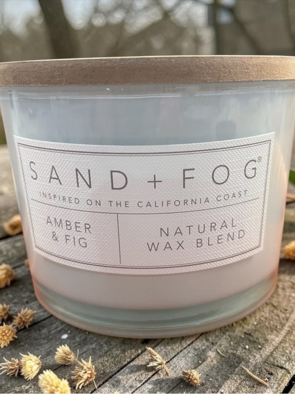 SAND + FOG Amber & Fig Scented Candle - White